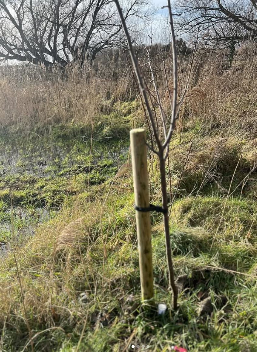 Earth Moves - Remembrance Service - HMD 2026